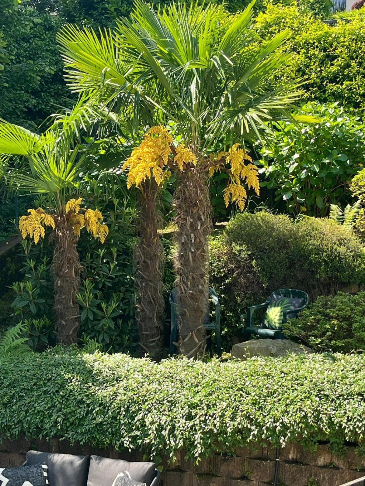 Miralago Stresa Esterno foto